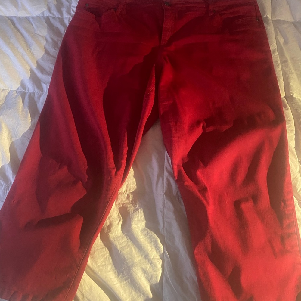 Style & Co. Red Capris